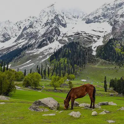 Jammu & Kashmir