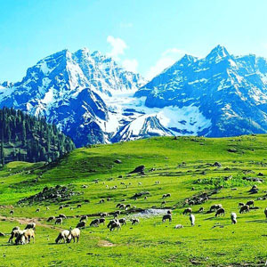 Sonamarg