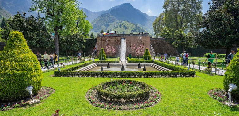 Arrival in Srinagar - Local Sightseeing (Mughal Gardens)