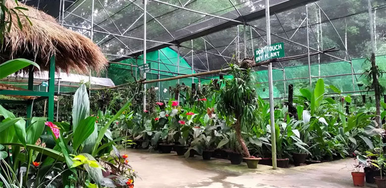 Shillong to Kaziranga