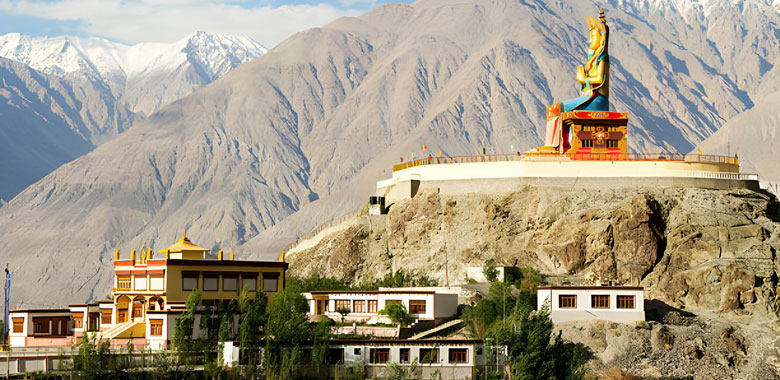 Nubra Valley - Leh