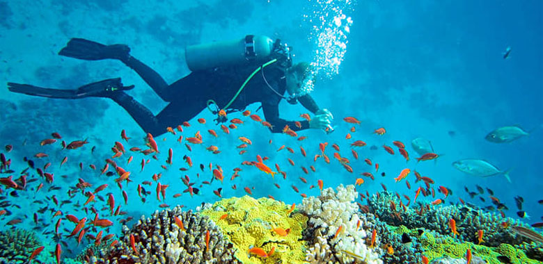 Port Blair - North Bay Coral Island + Ross Island - Port Blair
