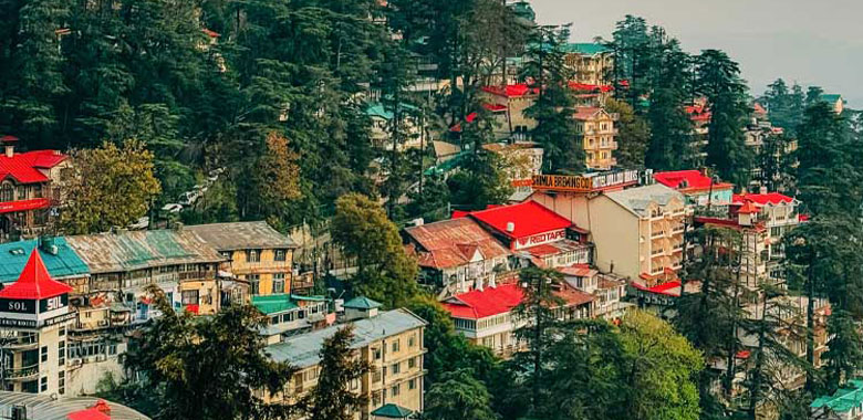Kalpa - Sarahan - Shimla (10 Hrs)