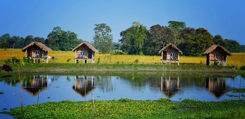 Majuli Island Sightseeing & transfer to Kaziranga National Park