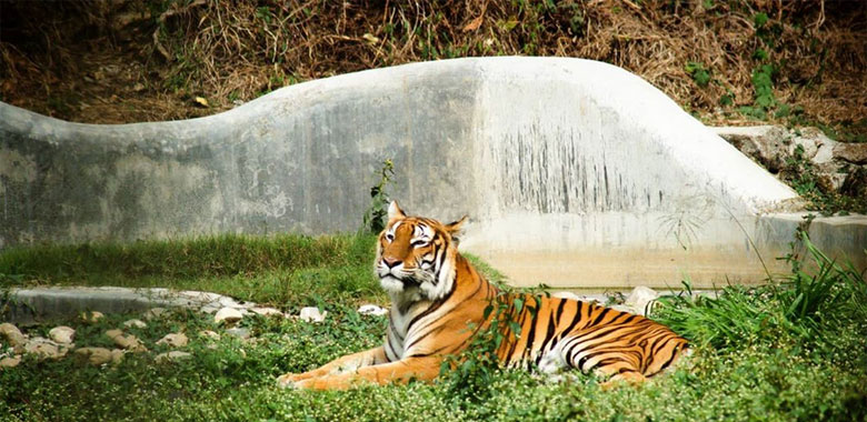 Guwahati Sightseing & drop to Airport