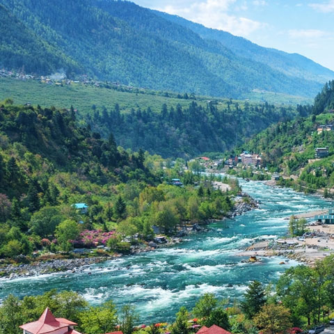 Shimla Manali Delight