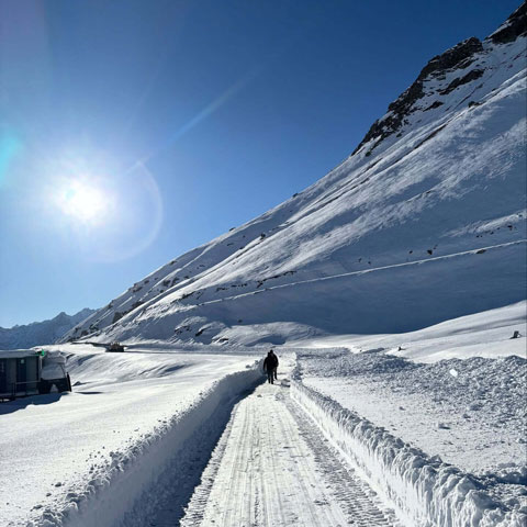 Himachal Paradise Tour