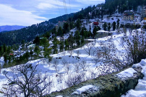 Himachal Paradise Tour