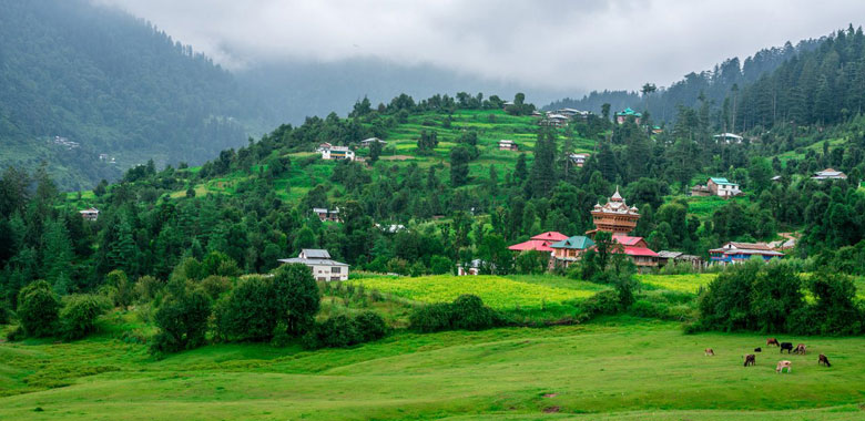 Kufri Excursion & Shimla Local Sightseeing