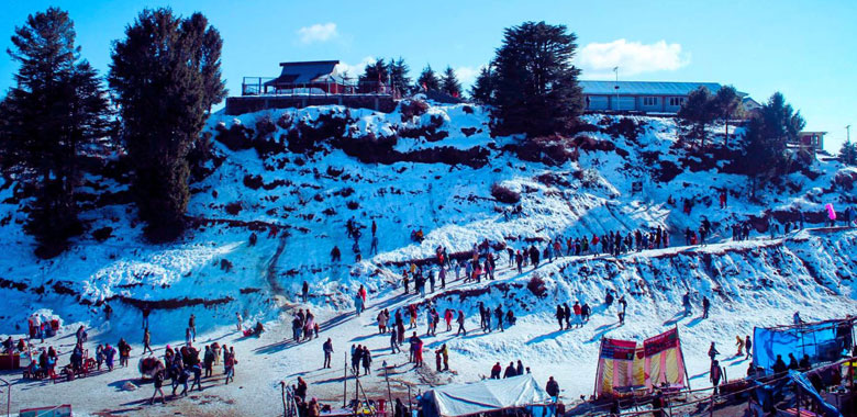 Kufri Excursion & Shimla Local Sightseeing