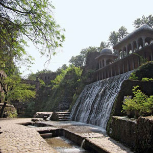 Rock Garden