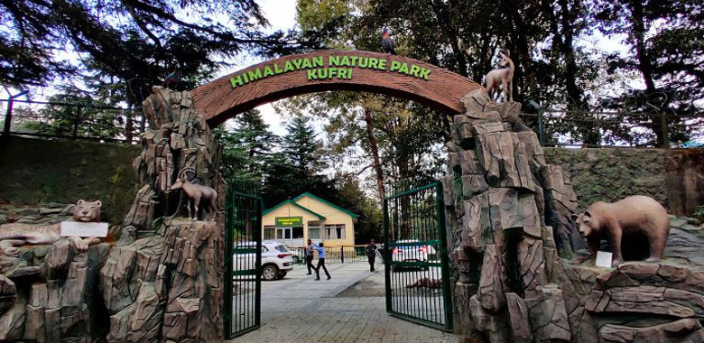 Kufri Excursion & Shimla Local Sightseeing