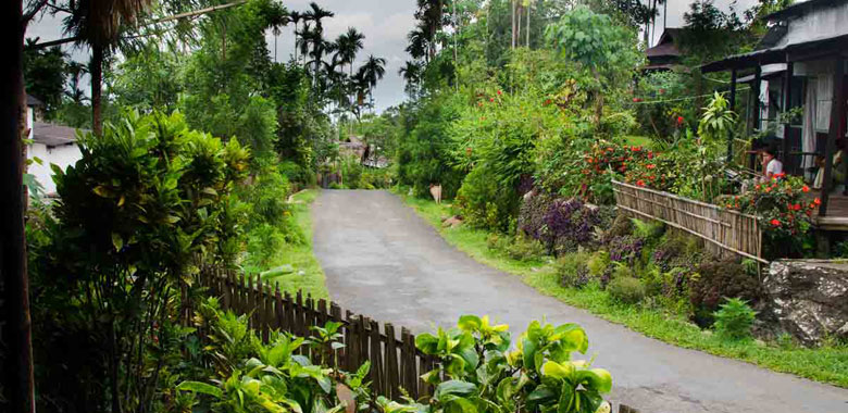 Mawlynnong & Dawki Excursion