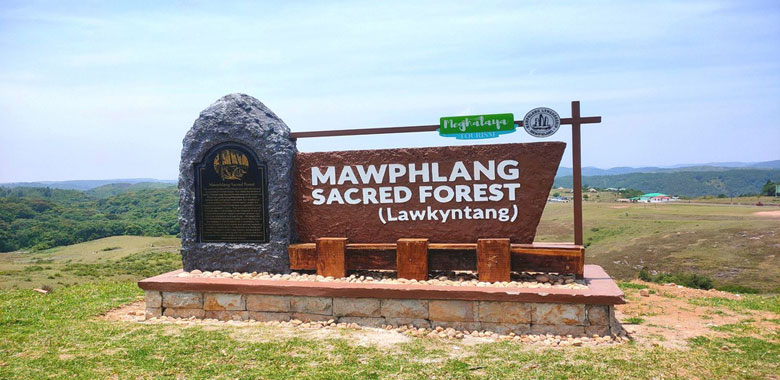 Mawphlang Sacred Forest excursion & transfer to Guwahati